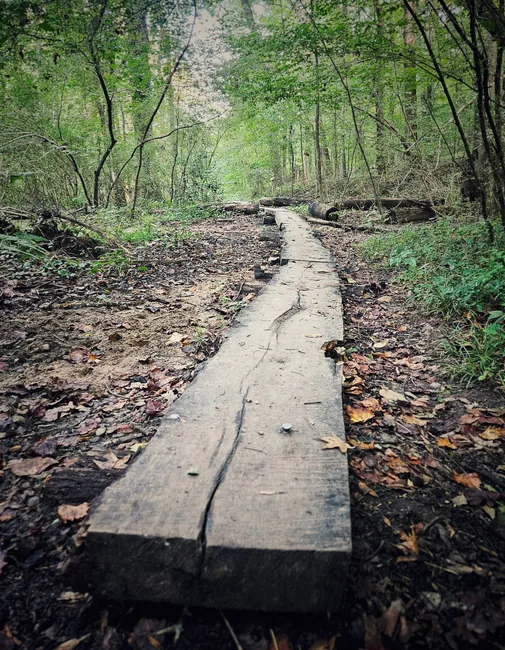 Woodland Trail